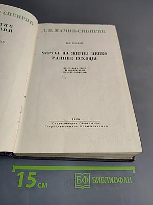 Черты из жизни Пепко. Ранние всходы