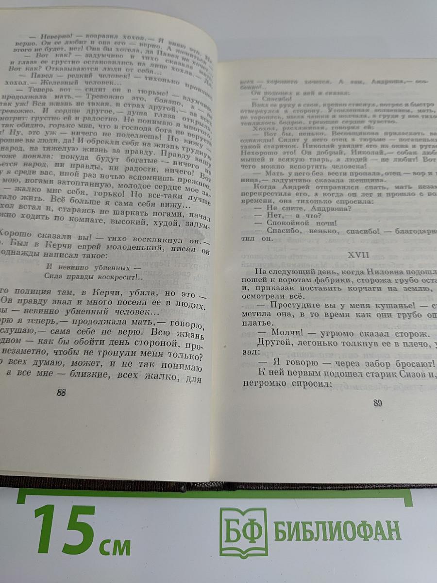 Собрание сочинений. Том восьмой. Мать. Рассказы, очерк. 1906-1910