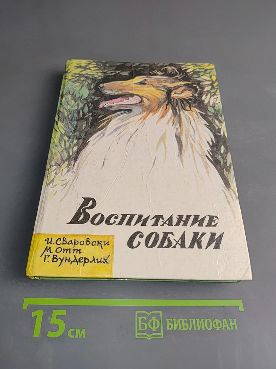 Воспитание собаки