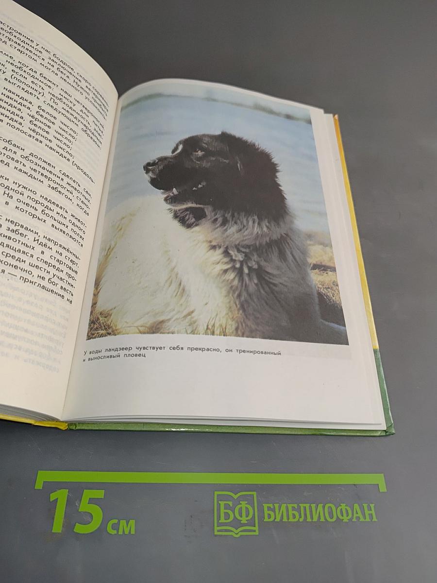 Воспитание собаки