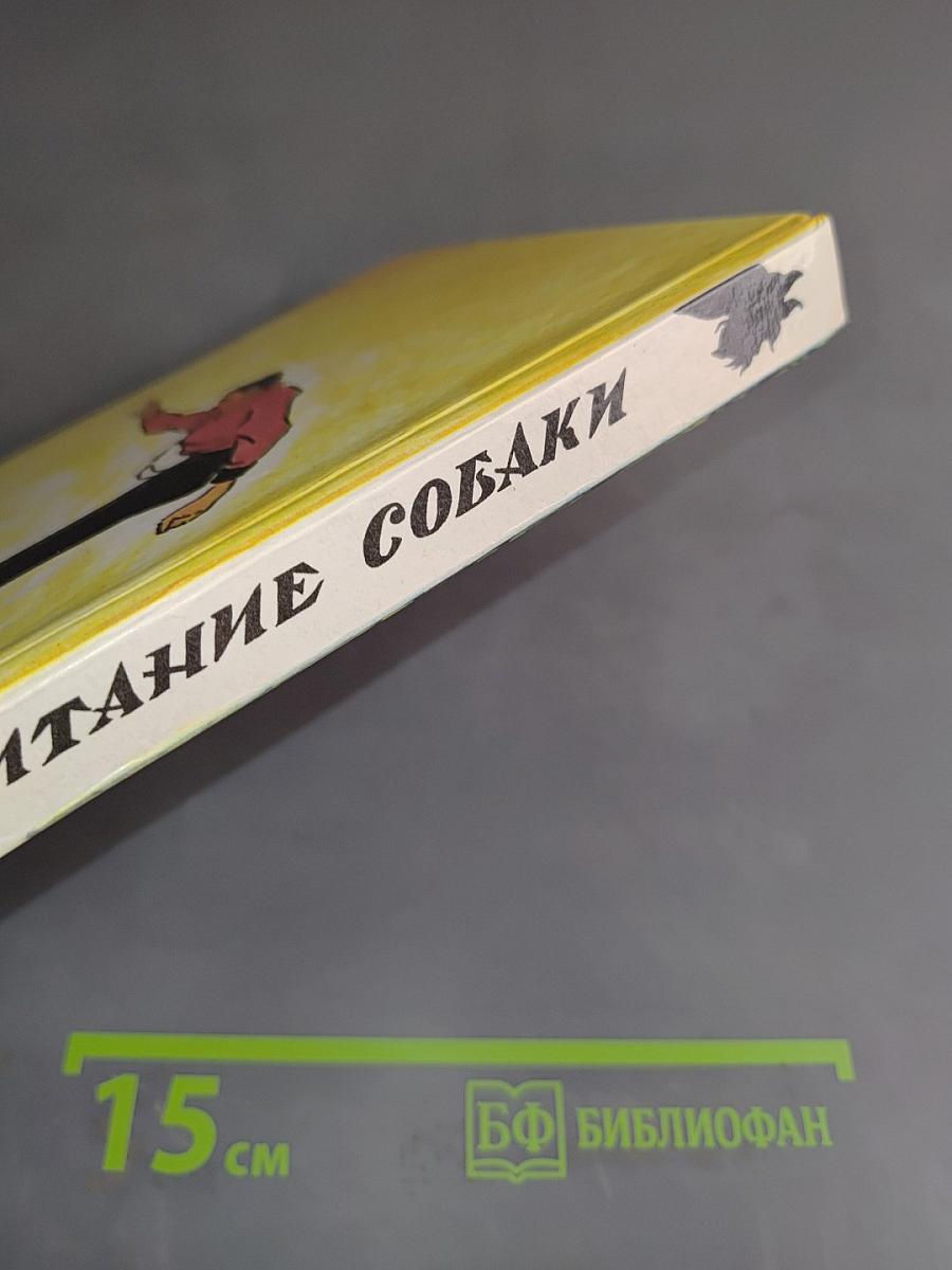 Воспитание собаки