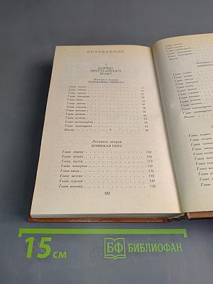 Слово и дело. Роман-хроника времён Анны Иоанновны. Книга 1