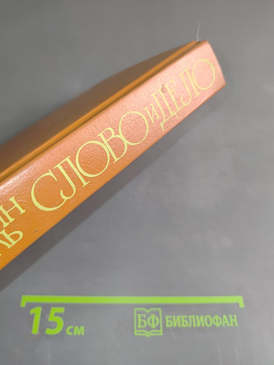 Слово и дело. Роман-хроника времён Анны Иоанновны. Книга 1