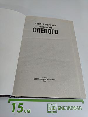 Ловушка для слепого