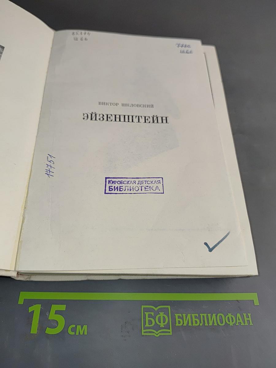 Эйзенштейн