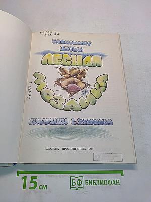 Лесная мозаика