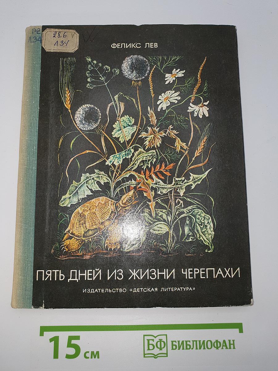 Пять дней из жизни черепахи