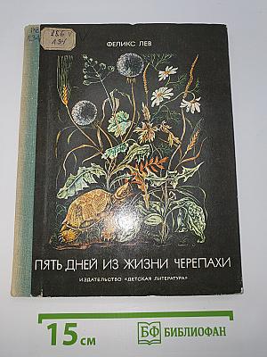 Пять дней из жизни черепахи