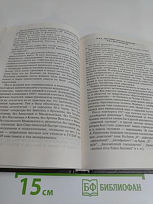 Сто лет русской литературы