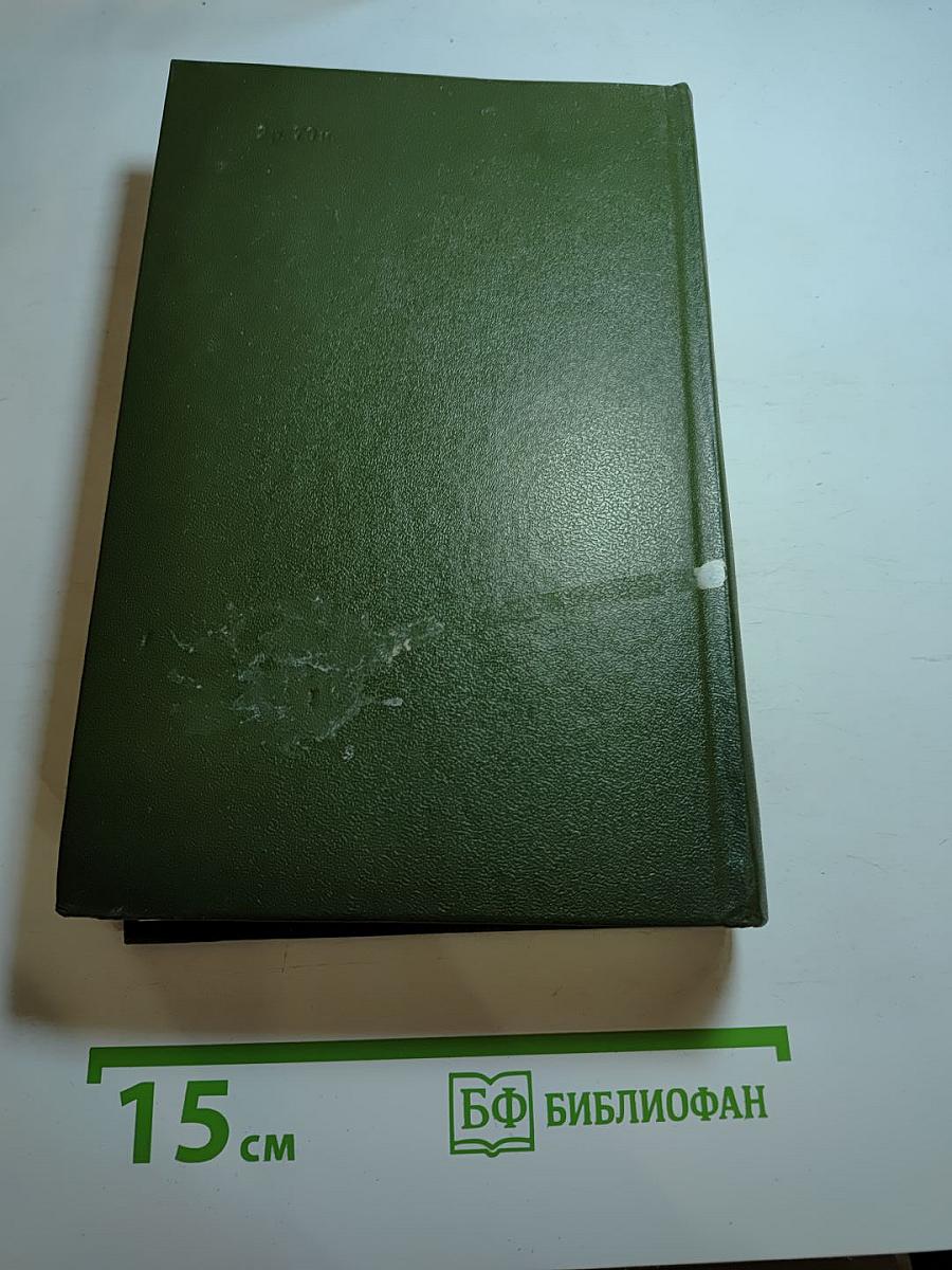 Память. Роман-эссе. Книга вторая