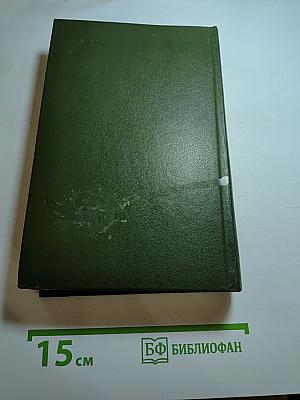 Память. Роман-эссе. Книга вторая