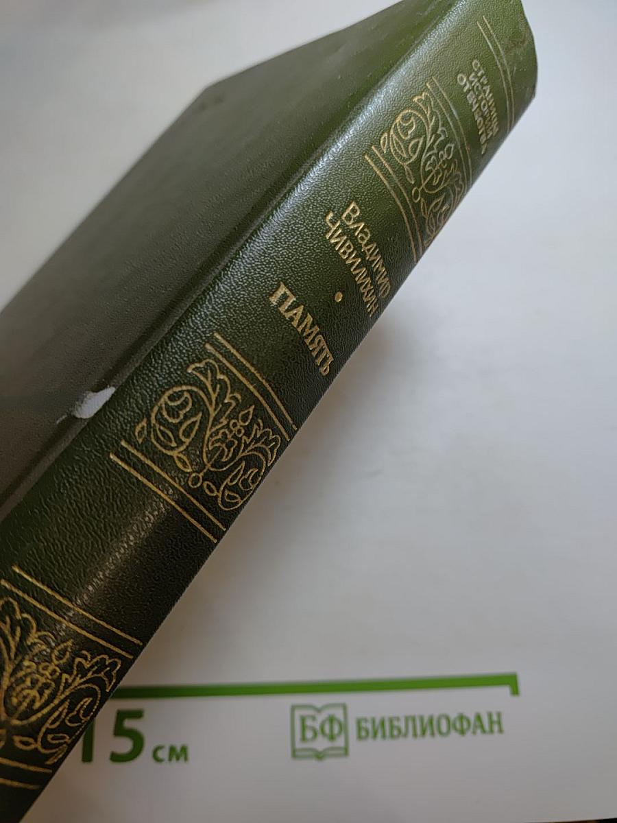 Память. Роман-эссе. Книга вторая