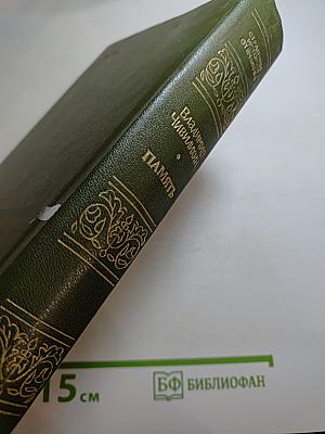 Память. Роман-эссе. Книга вторая