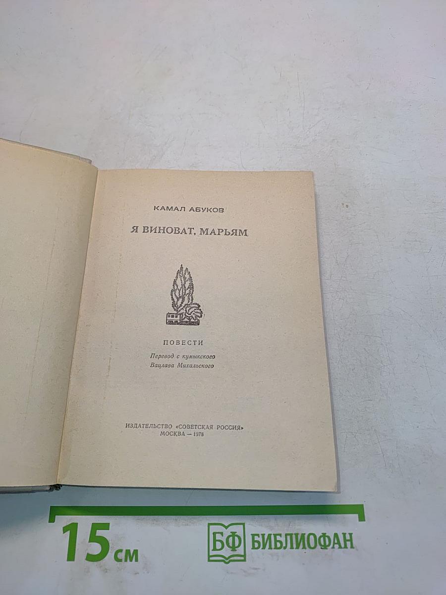 Я виноват, Марьям