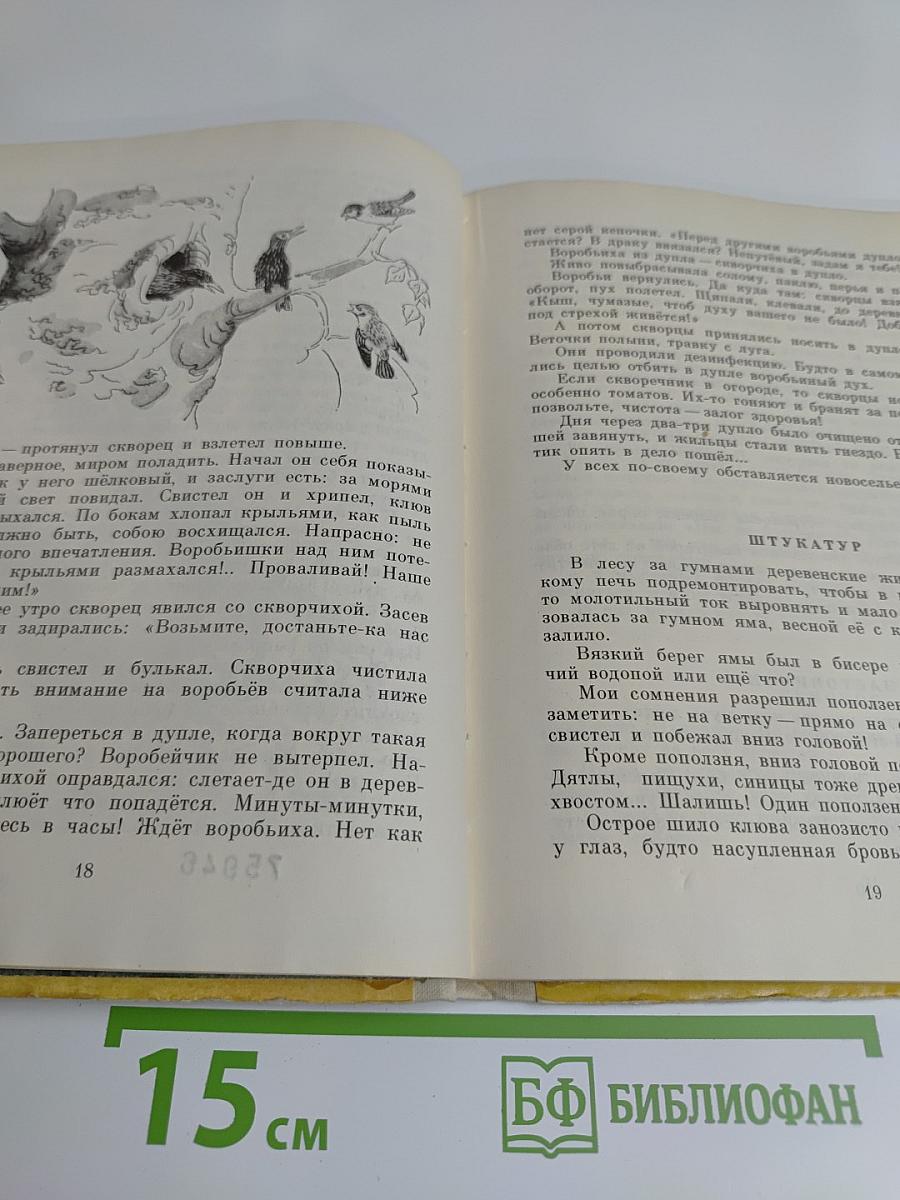 Горох на тысячу дорог. Лесные рассказы