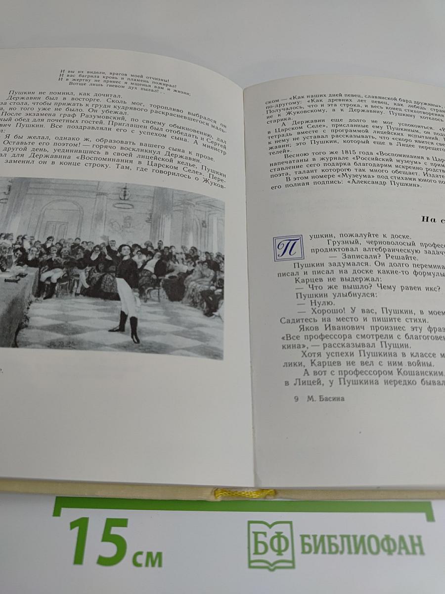 Город поэта