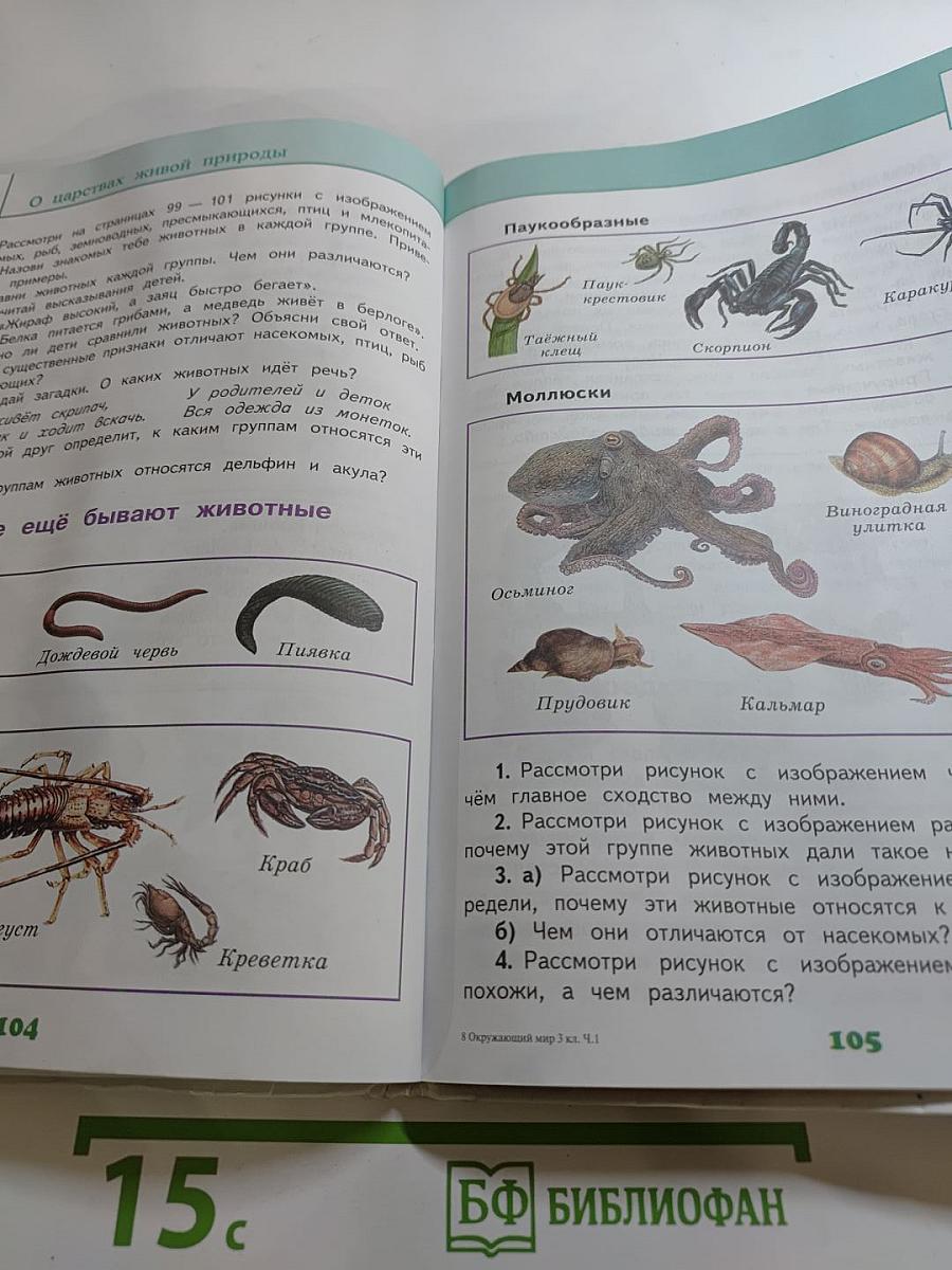 Окружающий мир 3 класс, Часть 1