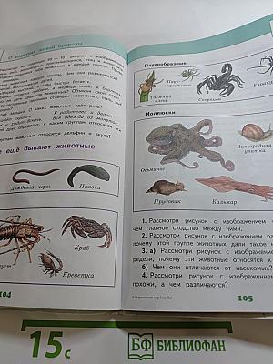 Окружающий мир 3 класс, Часть 1