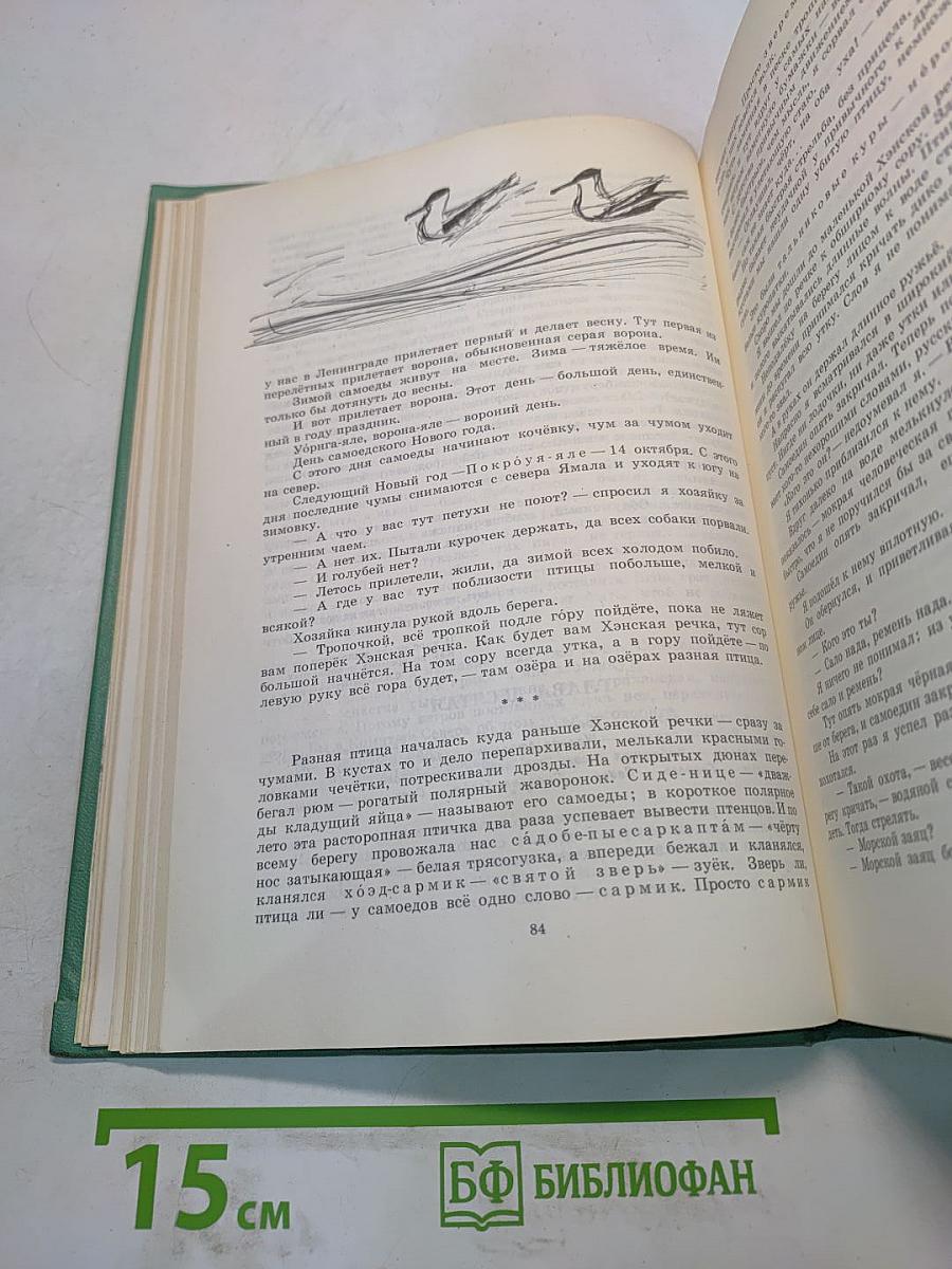 Очерки, рассказы, статьи, дневники, письма. Том 4