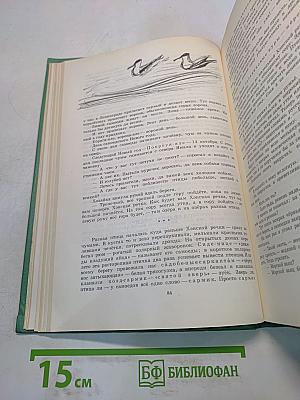 Очерки, рассказы, статьи, дневники, письма. Том 4