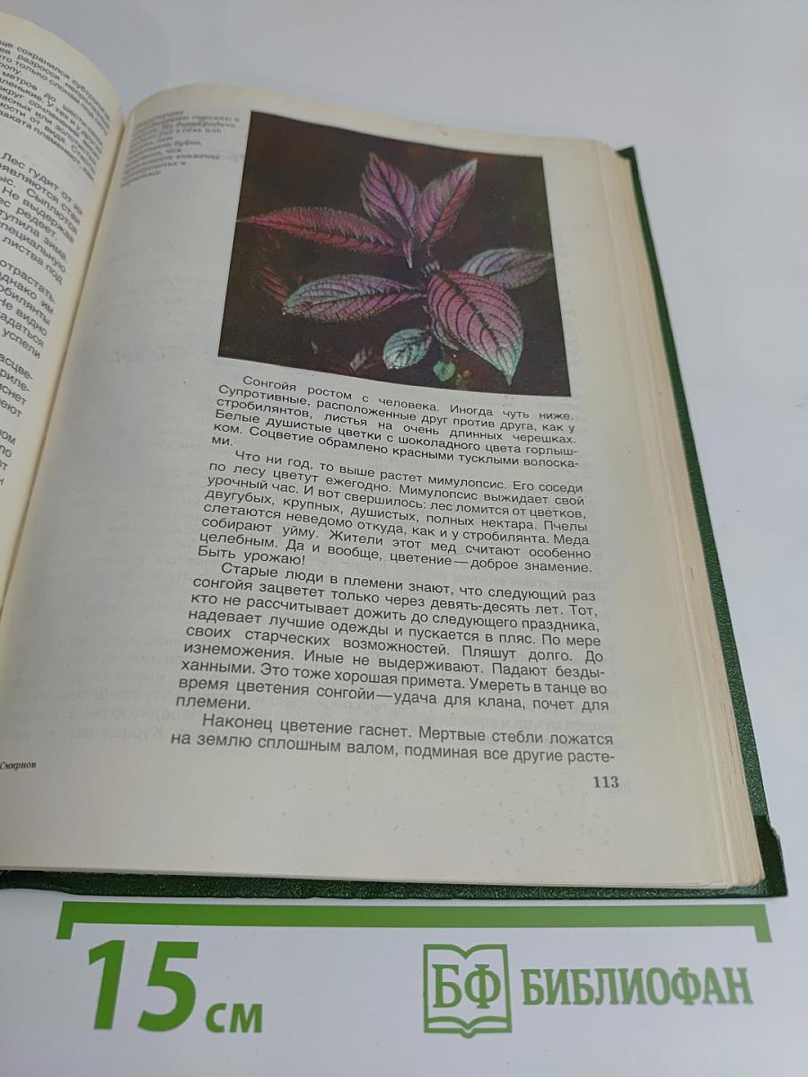 Мир растений