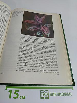 Мир растений