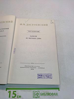 Записки из мертвого дома. Том четвертый