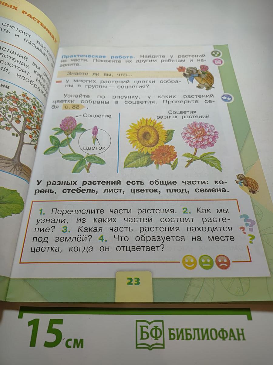 Окружающий мир 1 класс Часть 1