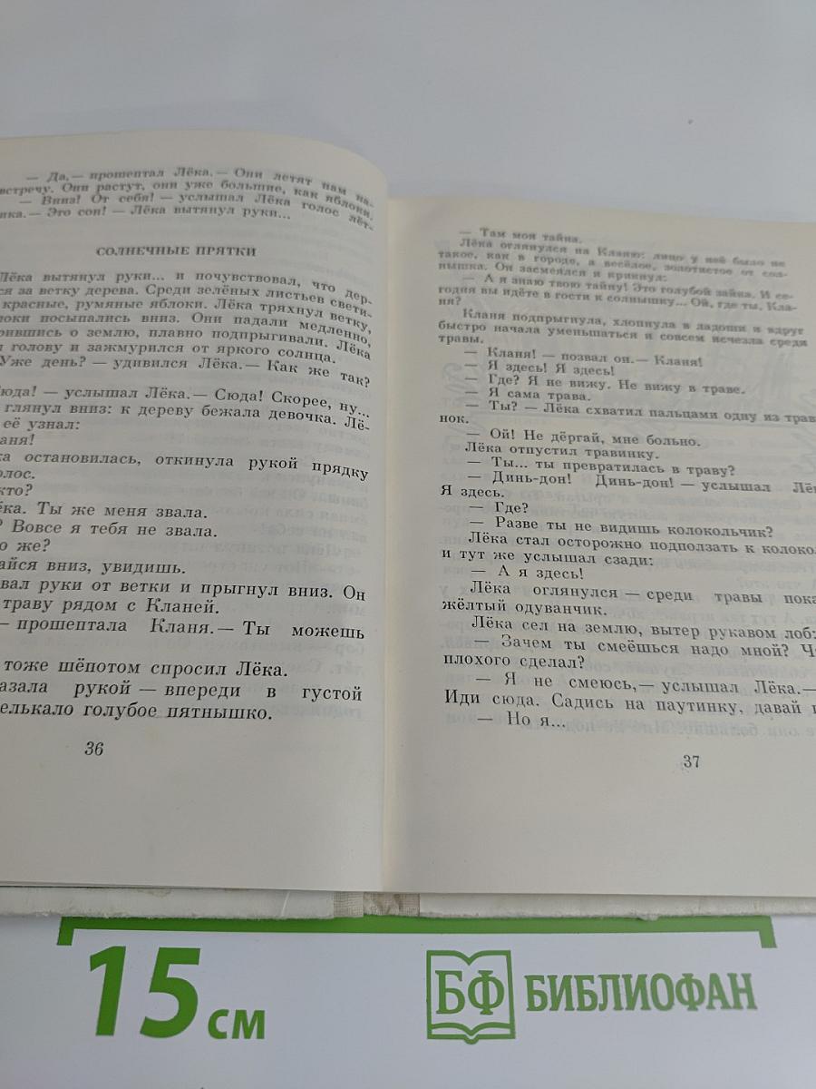 Солнечные прятки