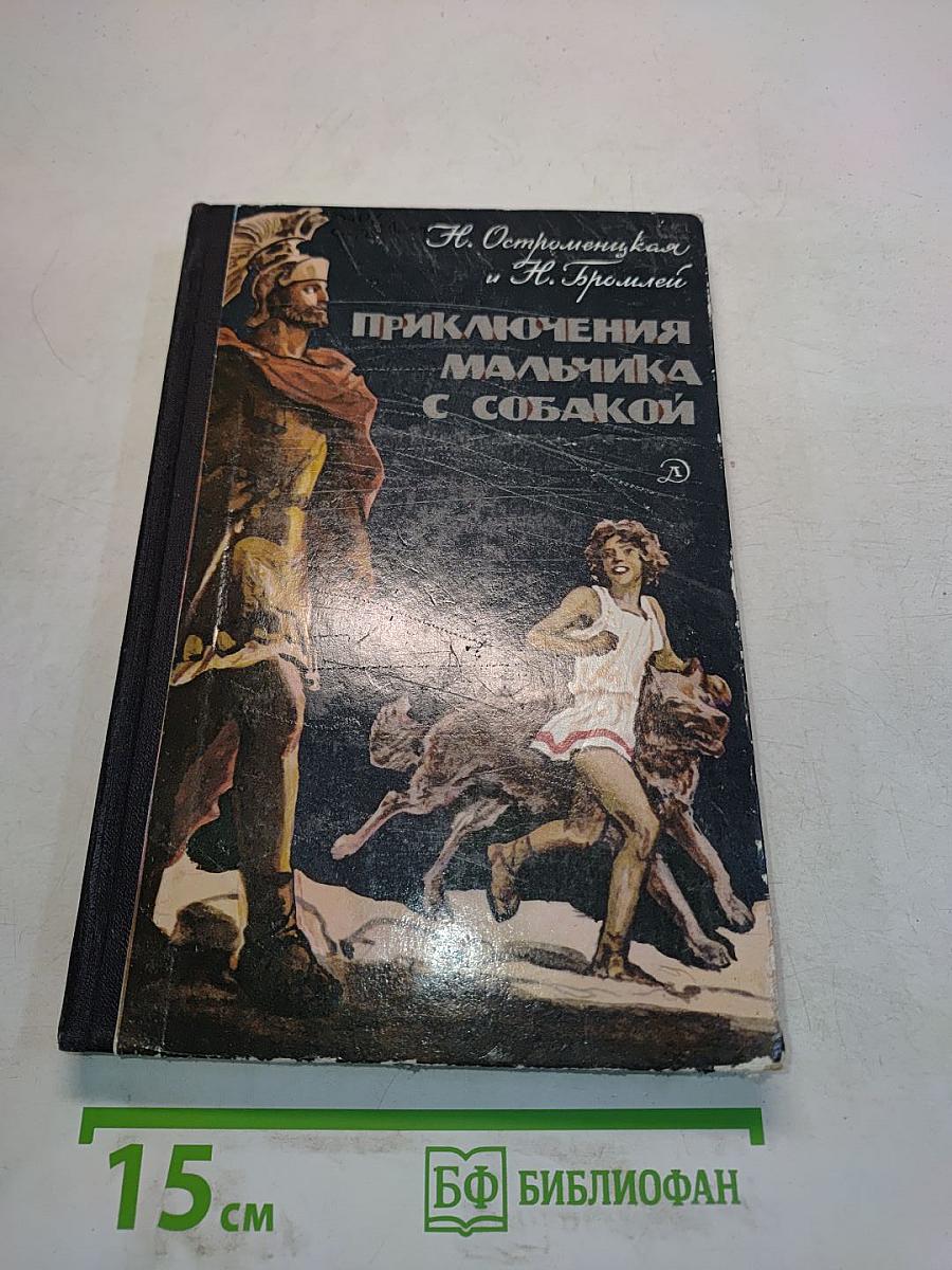 Приключения мальчика с собакой