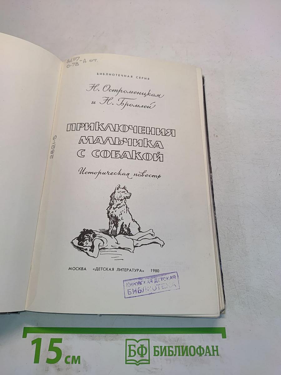Приключения мальчика с собакой