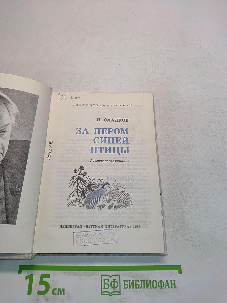 За пером синей птицы