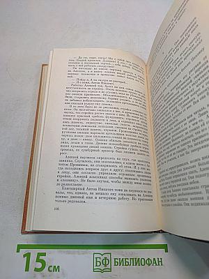 Художник каменных дел