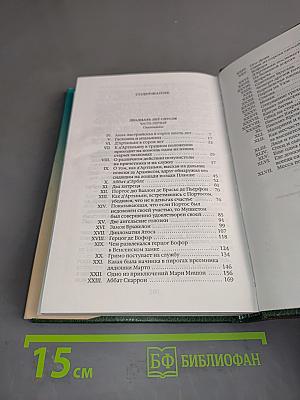 Двадцать лет спустя. Часть первая (главы IV-XLVII)