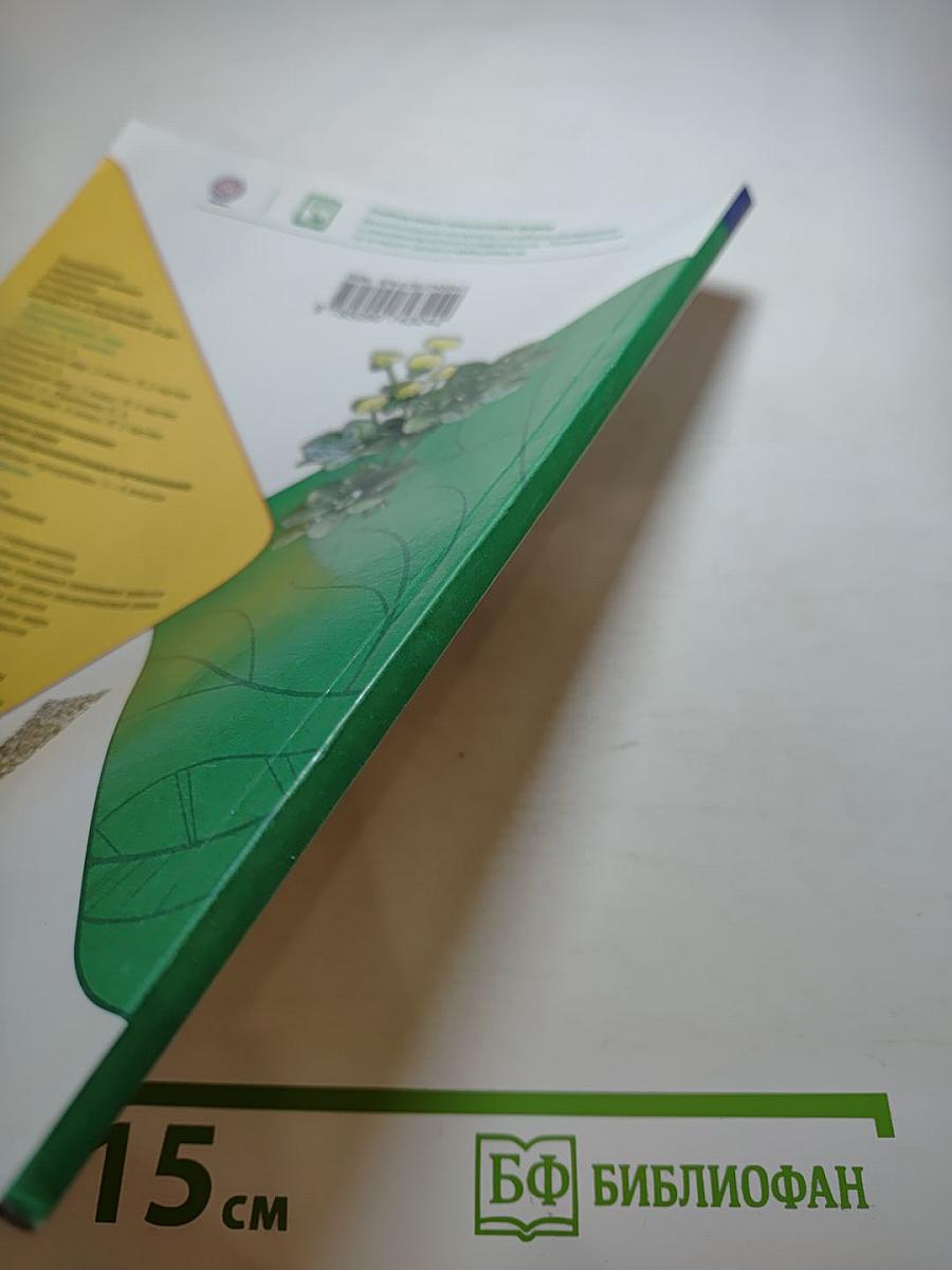 Окружающий мир 1 класс, Часть 2