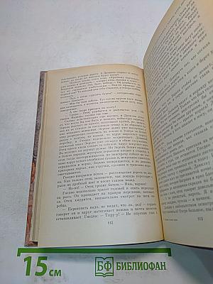 Звенит в ночи луна