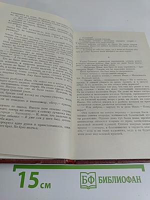 Сын эрзянский. Книга вторая