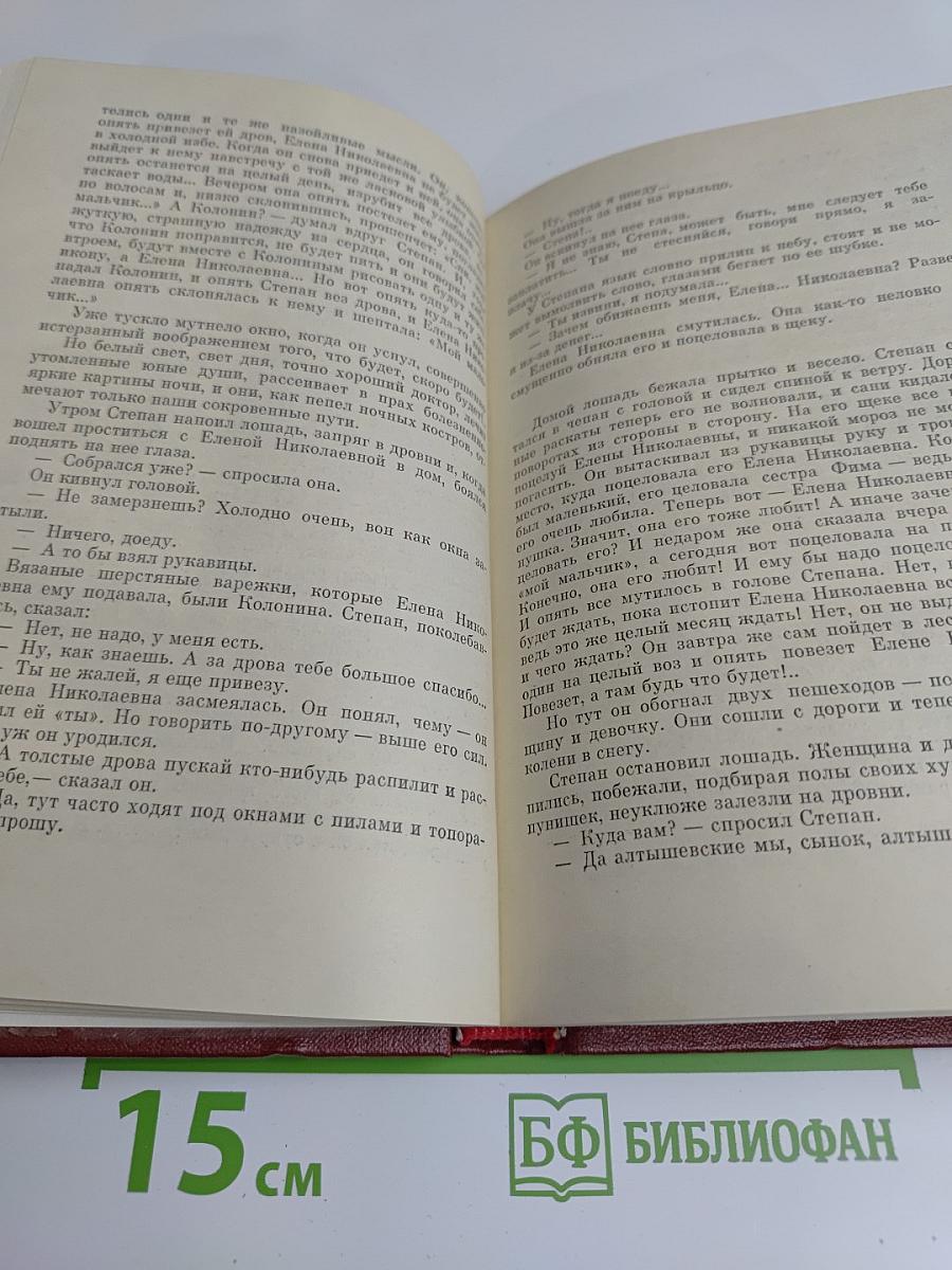 Сын эрзянский. Книга вторая