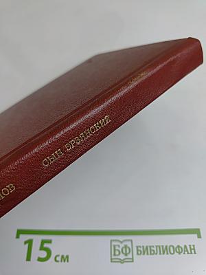 Сын эрзянский. Книга вторая