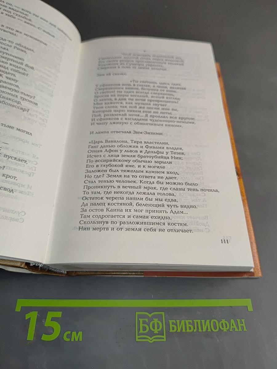 Собрание сочинений. Том тринадцатый. Поэзия