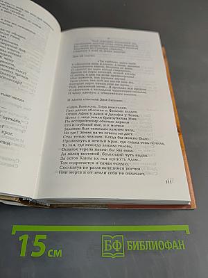 Собрание сочинений. Том тринадцатый. Поэзия