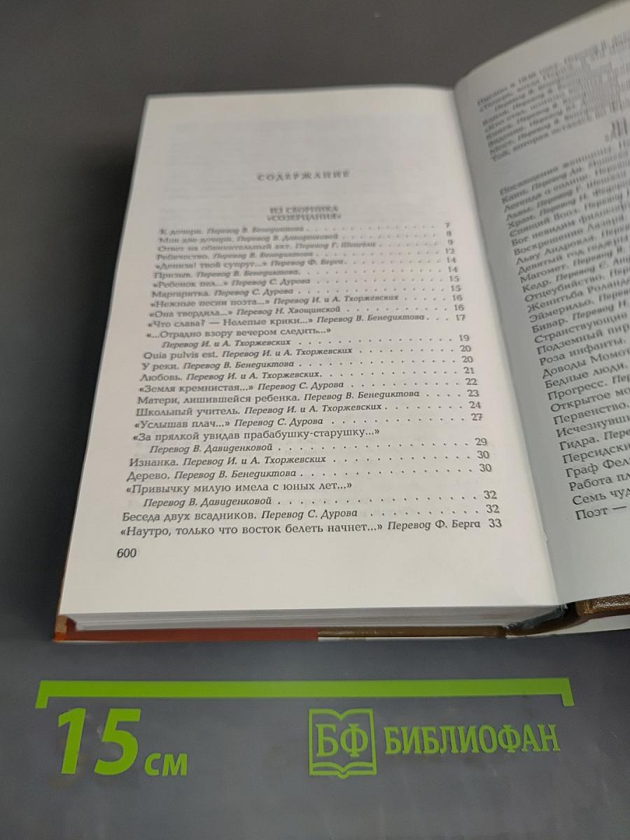 Собрание сочинений. Том тринадцатый. Поэзия