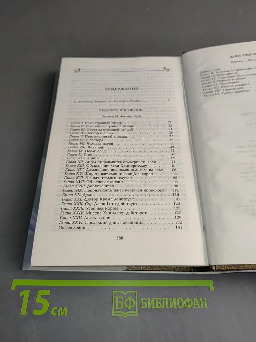 Чудесное посещение. Душа епископа