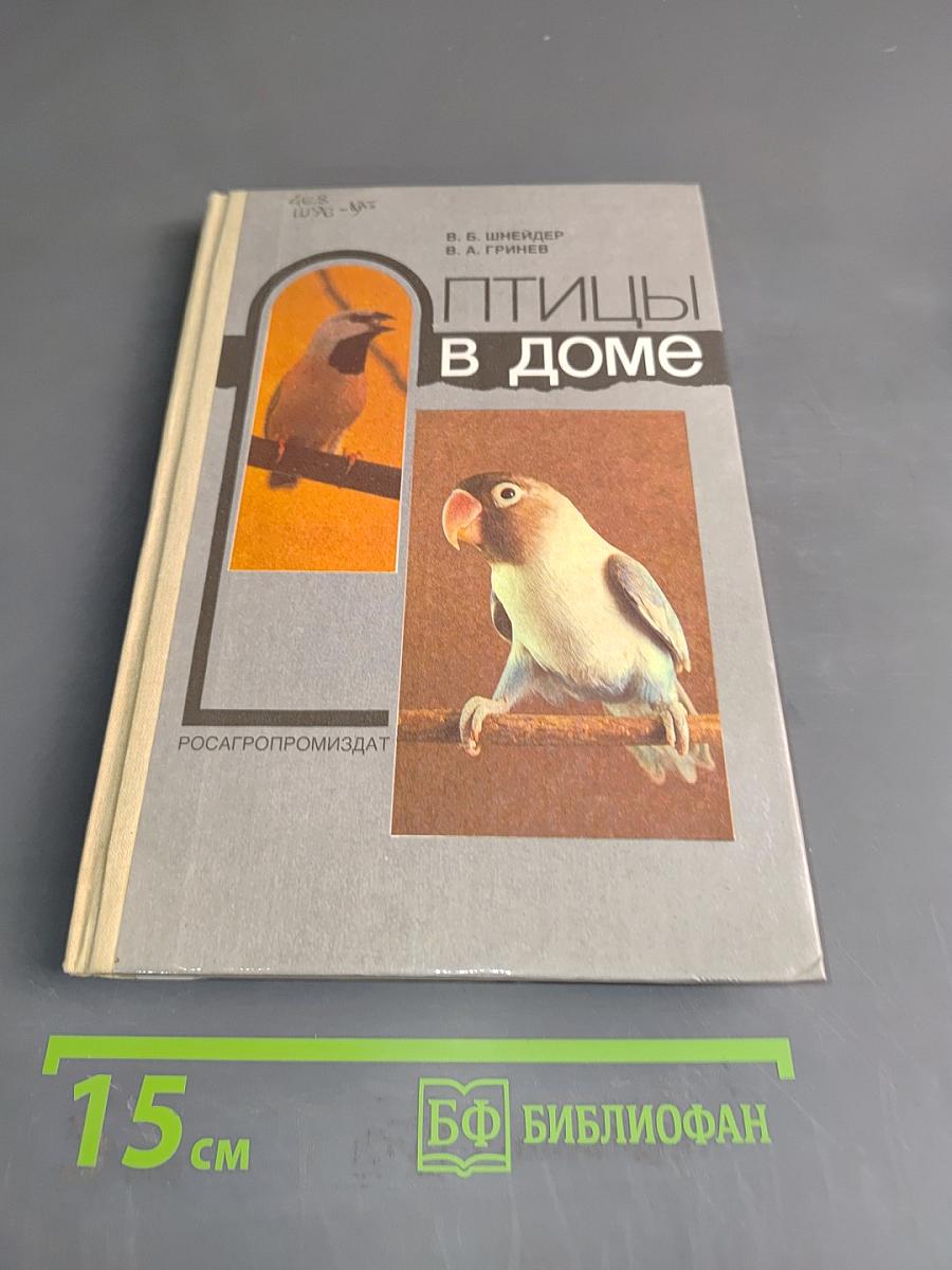 Птицы в доме