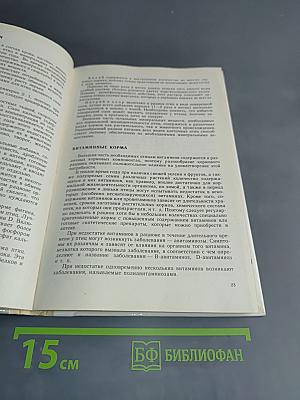 Птицы в доме