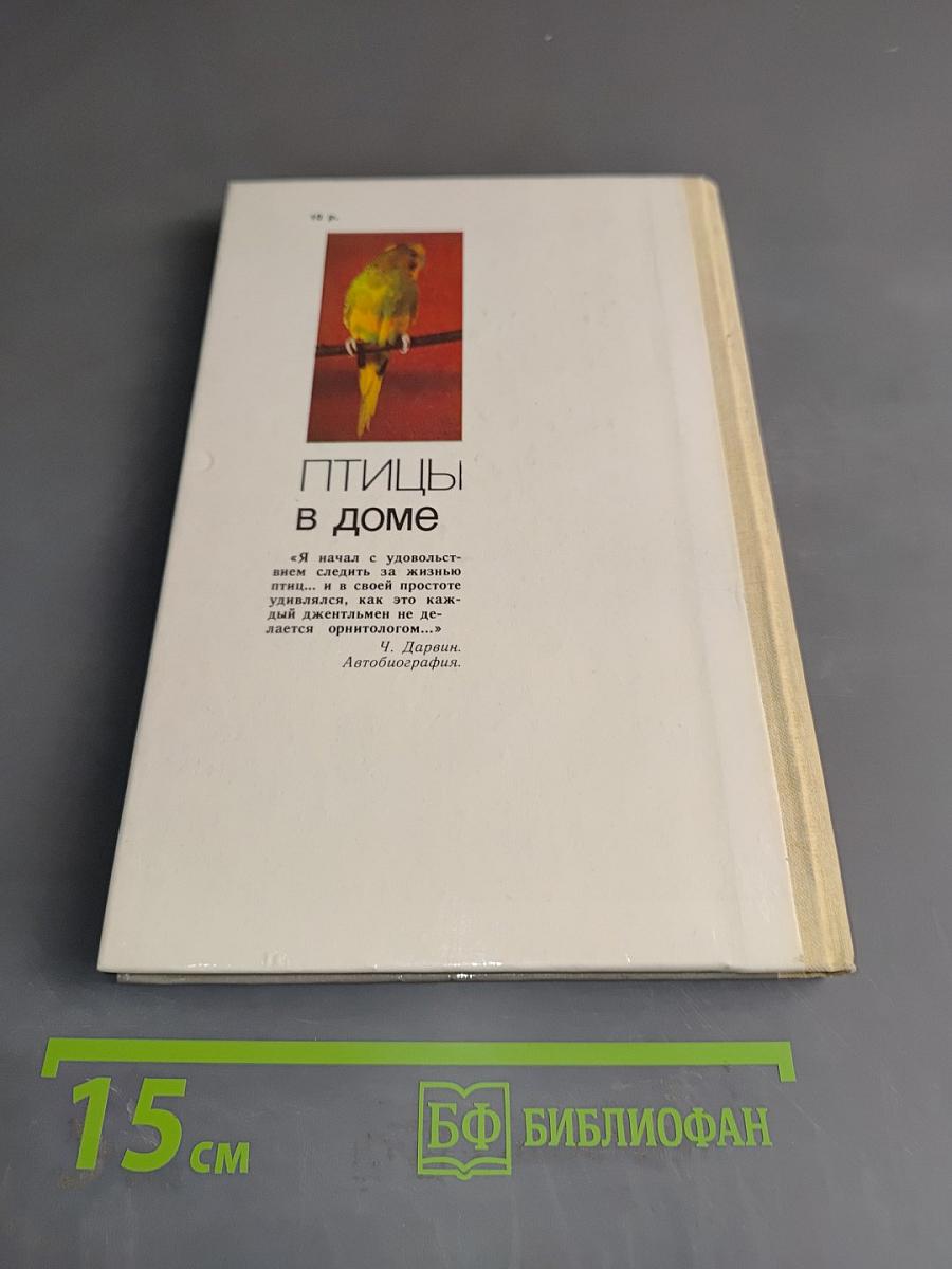 Птицы в доме
