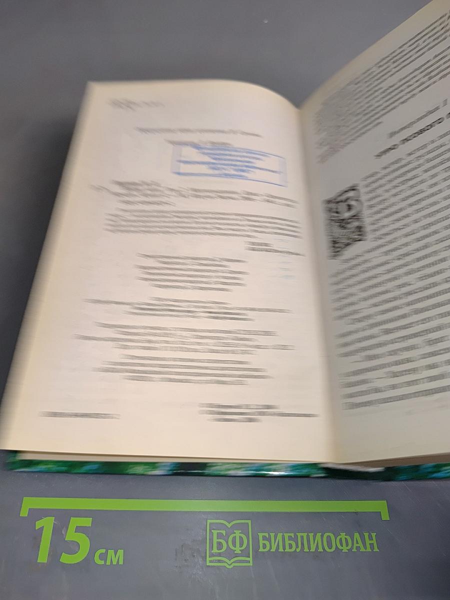 Война мага. Том второй. Миттельшпиль