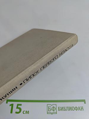 Пилот первого класса