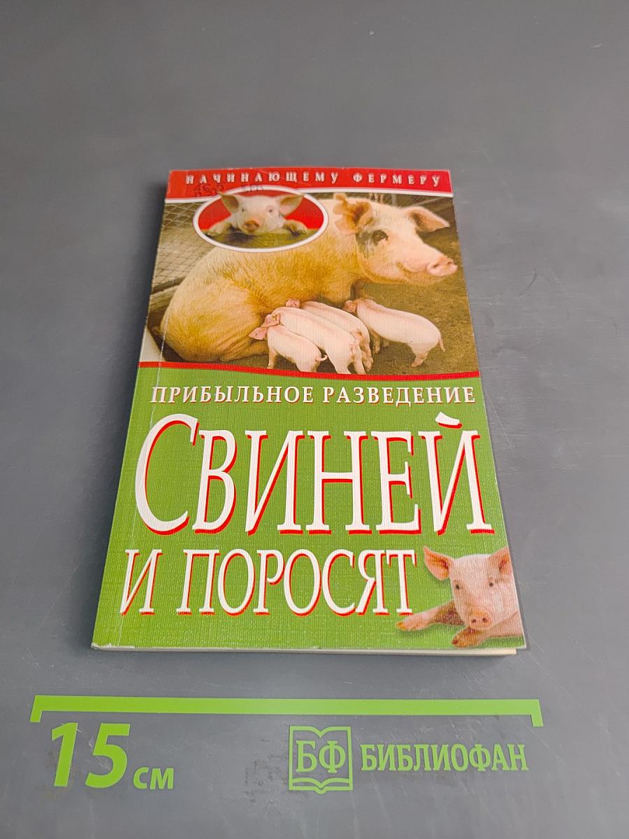 Прибыльное разведение свиней и поросят