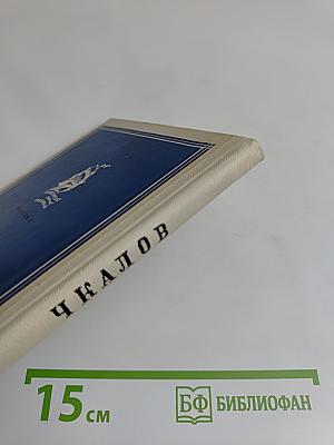 Бессмертный флагман